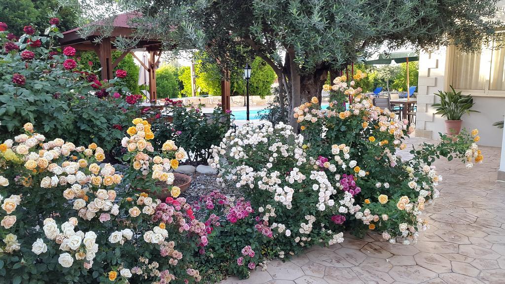 Jaime Villa Cyprus Argaka Dış mekan fotoğraf